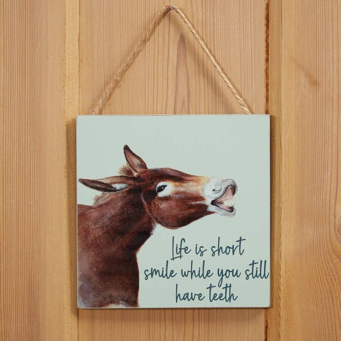 Donkey Life is Short Plaque